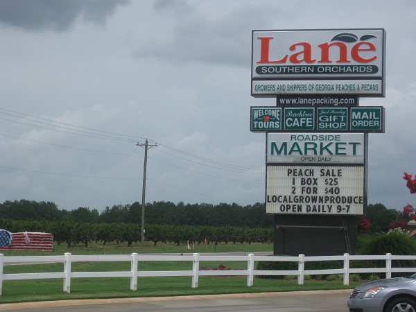 Peachtree Cafe at Lane Southern Orchards, Ft. Valley&nbsp;GA