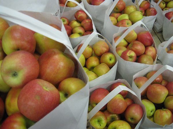 Panorama Orchards, Ellijay&nbsp;GA